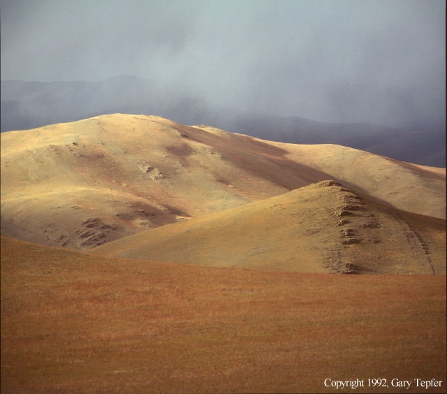 Grasslands, Altay Mtns.