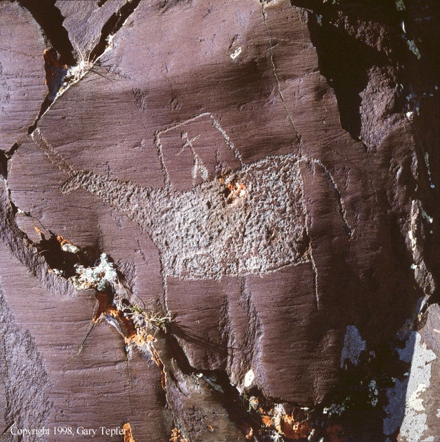 Child on Yak, Petroglyph
