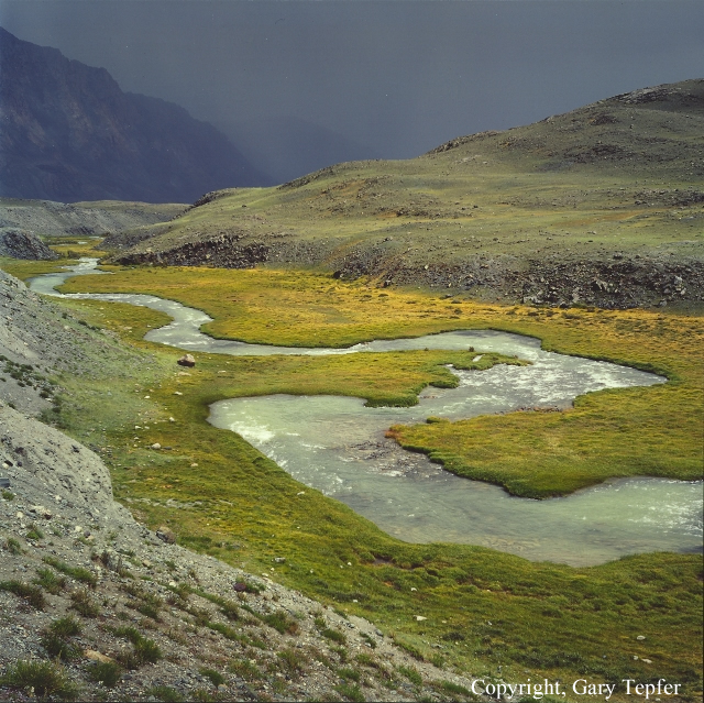 Harsalaa, Tsagaan Gol, Mongolia