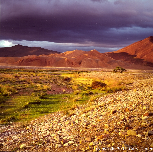 Morning Light, Sagsay, Mongolia