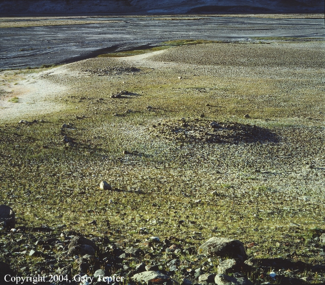 Stone Altars, Teavyk