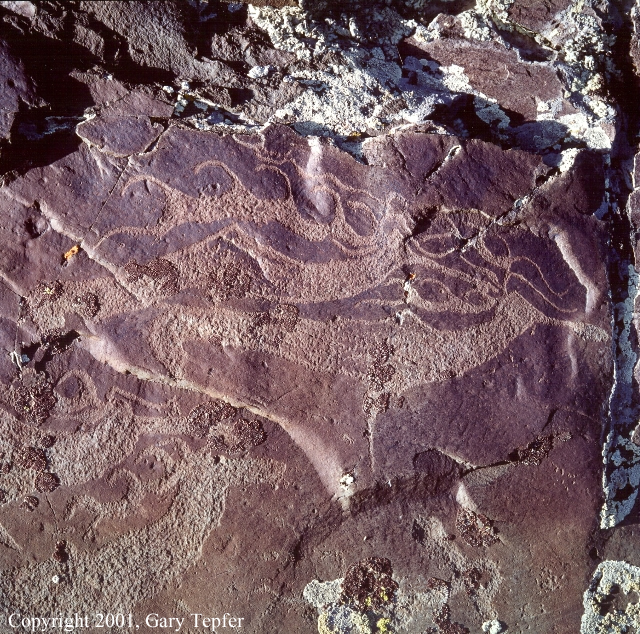 Deer Petroglyph, Har Salaa