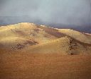 Grasslands, Altay Mtns.