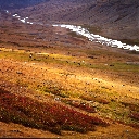 High Pasture, Tsagaan Gol