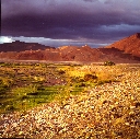 Morning Light, Sagsay, Mongolia