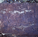 Deer Petroglyph, Tsagaan Gol