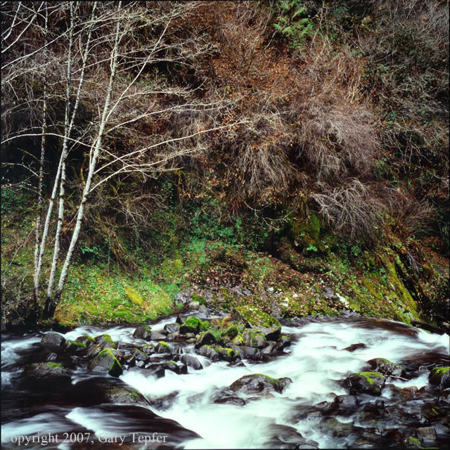 Sweet Creek