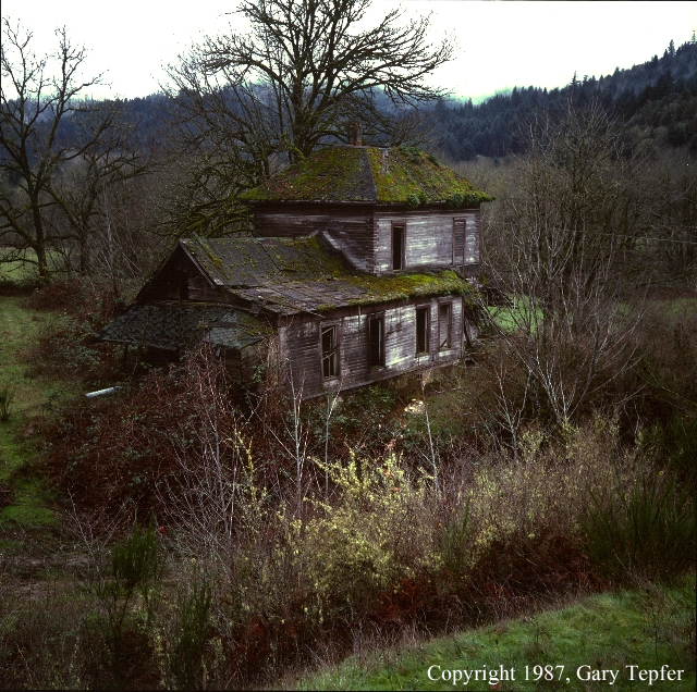 Abandoned House, Coast Range