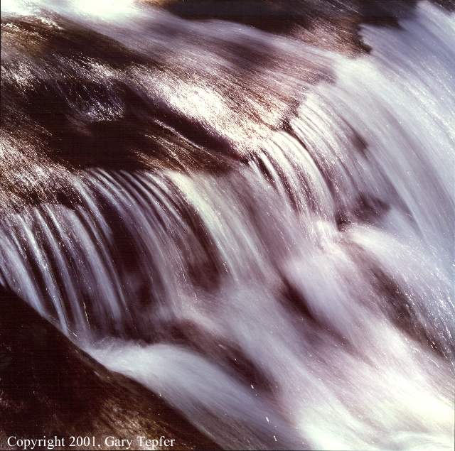 Sweet Creek, Coast Range