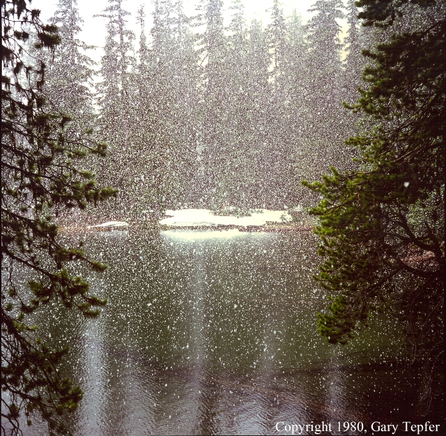 June Snow, Oregon Cascades