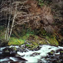 Sweet Creek