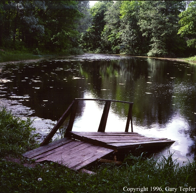 Pond, Oranianbav, St. Petersburg