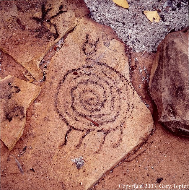 Protection, Canyon del Muerto
