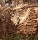 Pinetree, Sandstone, Canyon de Chelly