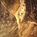 Planetarium Pictograph, Middle Canyon